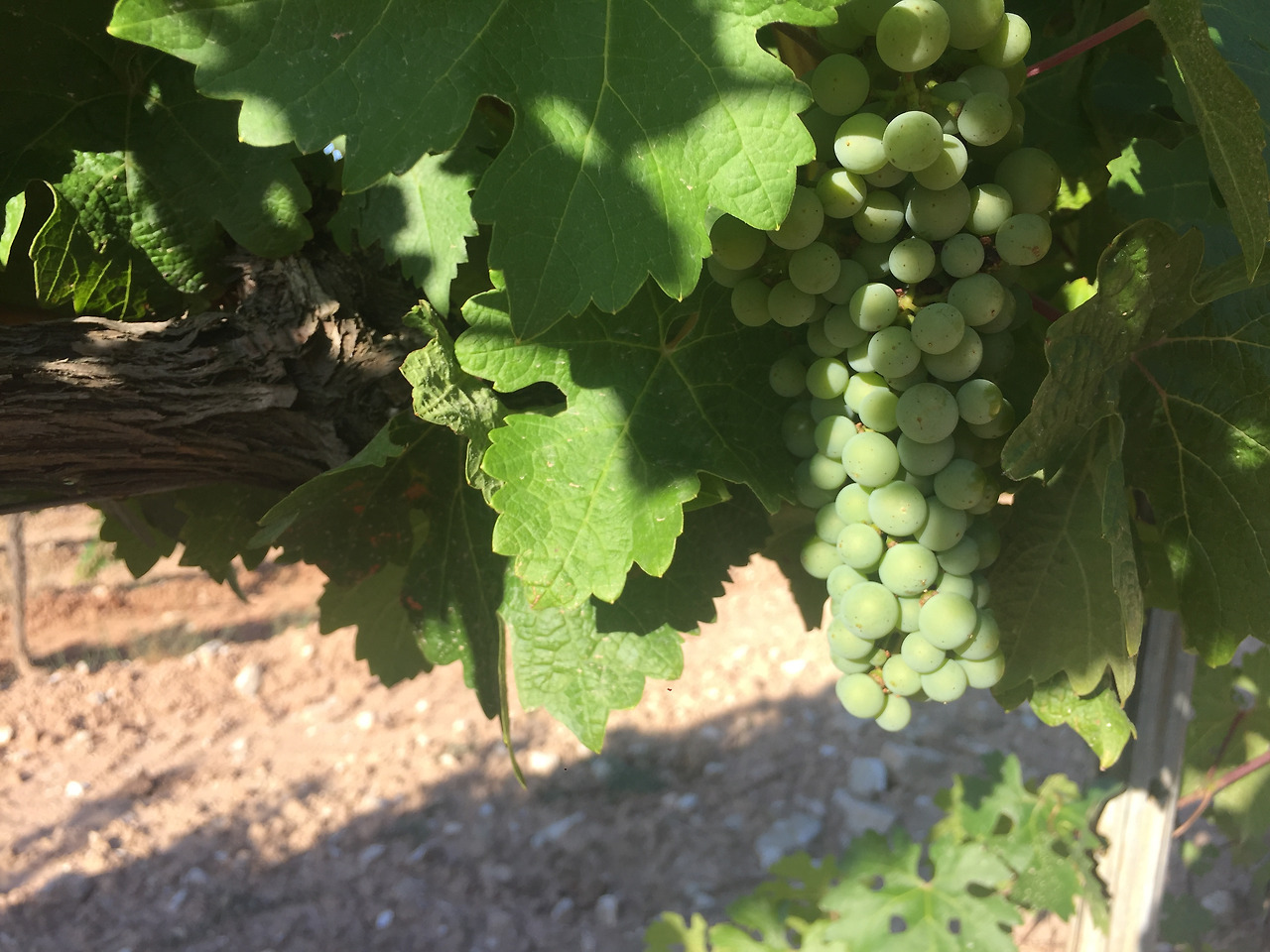 다운로드 (68).jpg