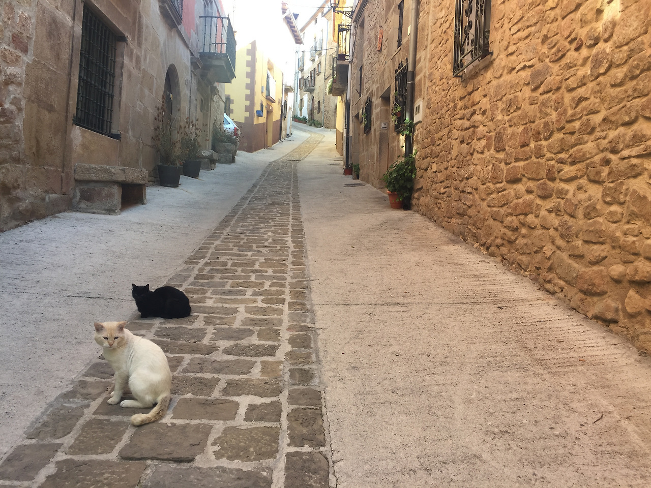 다운로드 (70).jpg