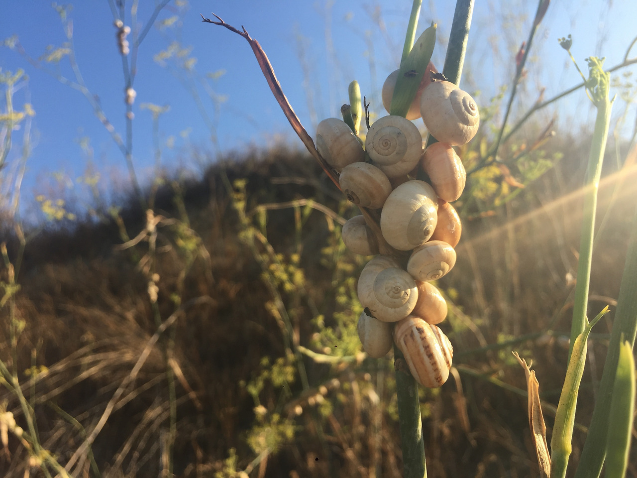 다운로드 (65).jpg