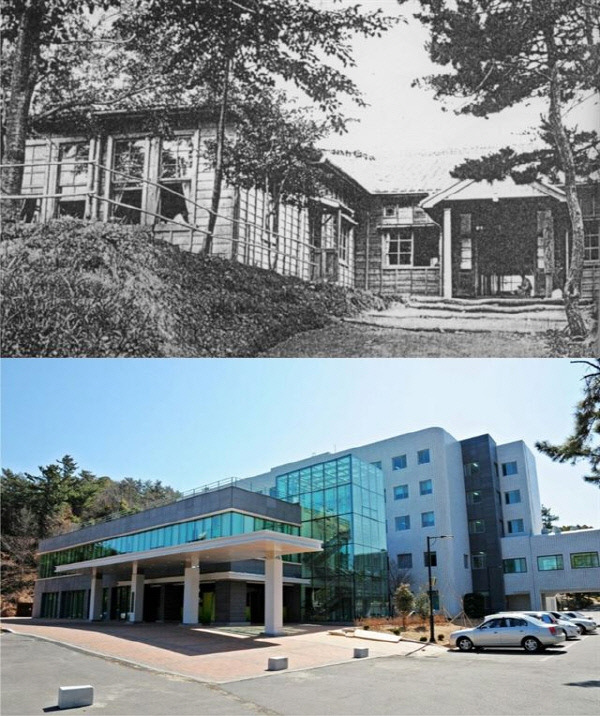 Susan Rigvava-Dumas - Rebecca1.jpg