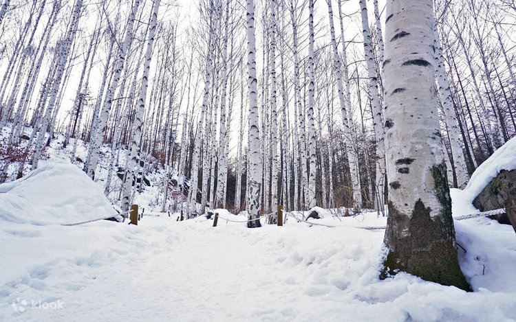 Beethoven - String Quartet Op130 - Cavatina5.jpg