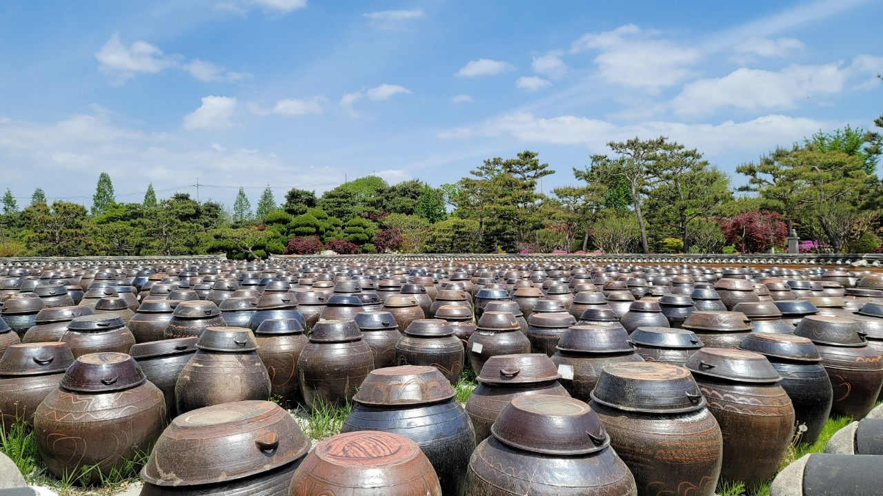 64. 농익는 마음.jpg