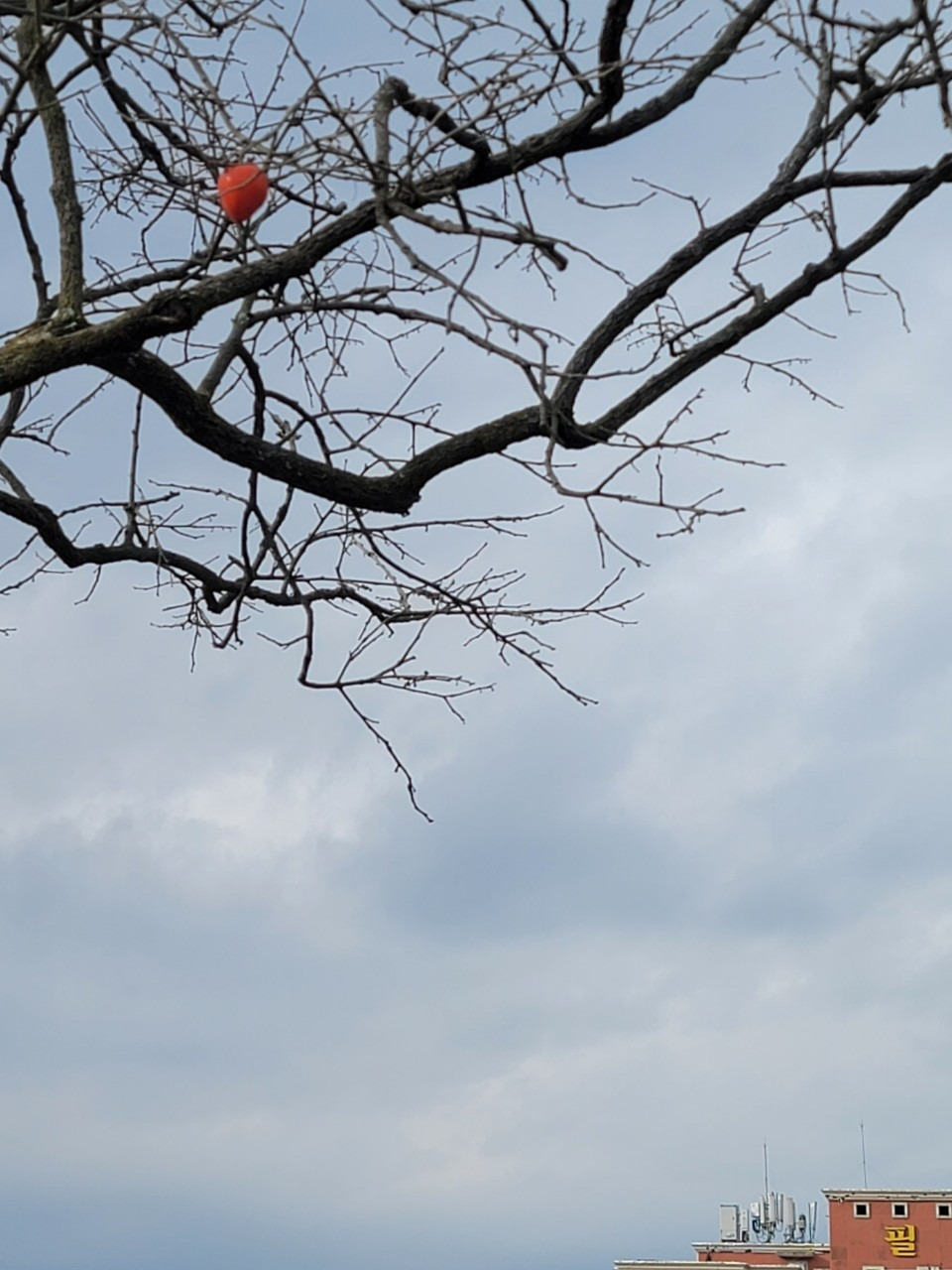 68. 떠나는 마음.jpg