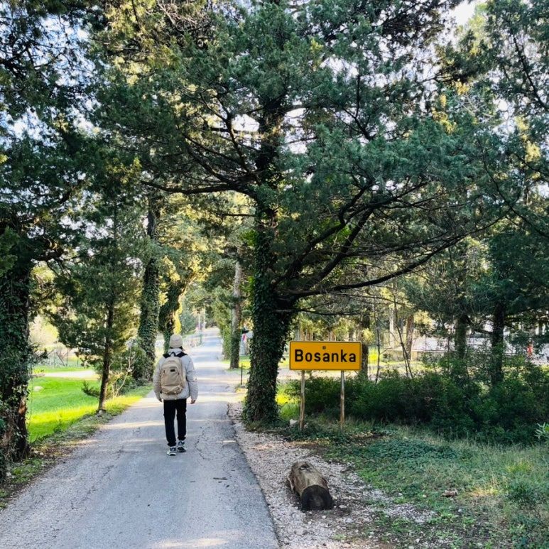 보산카 걷는 보습.jpg