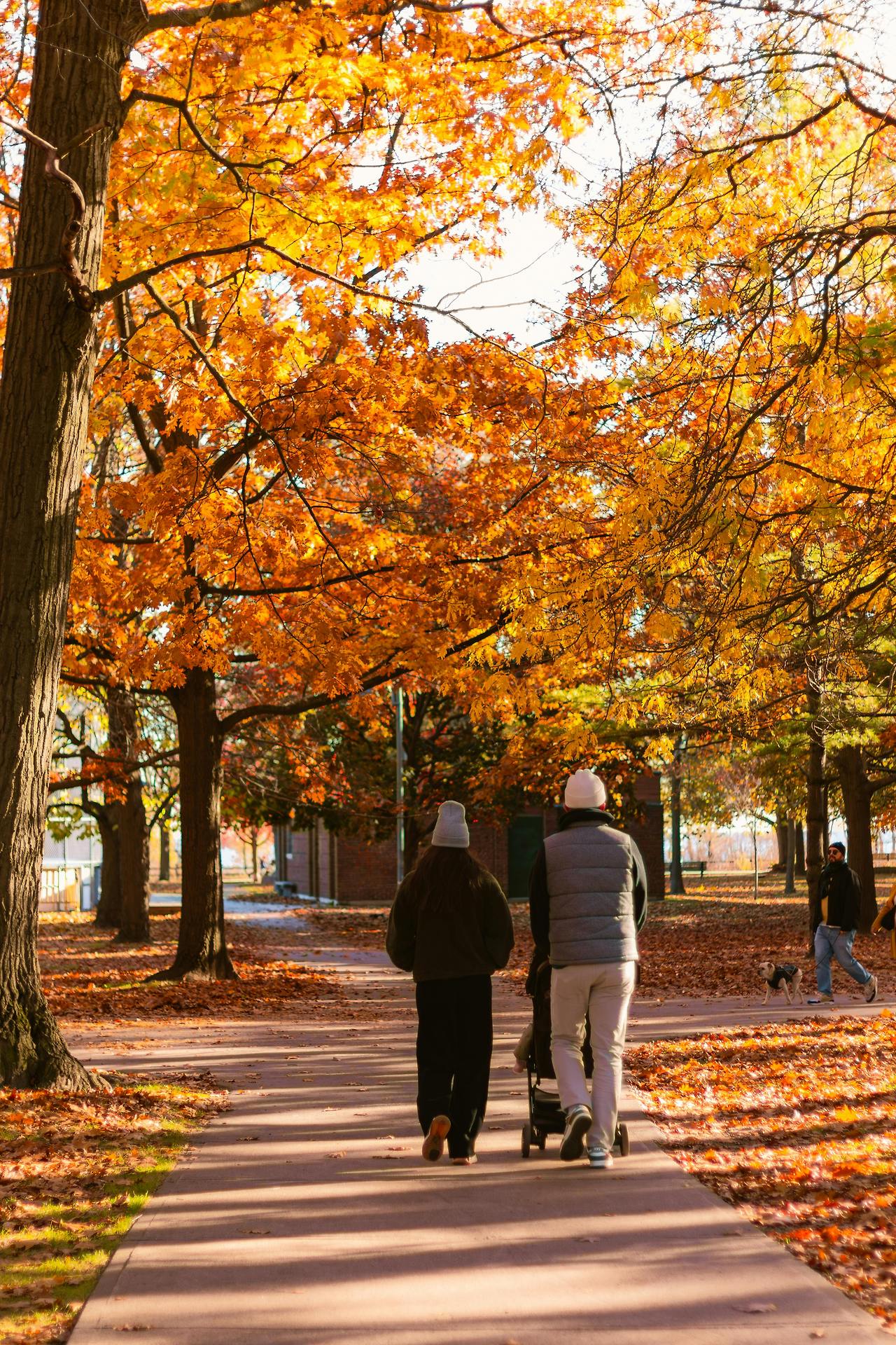 pexels-aj4xo-29246924 (1).jpg