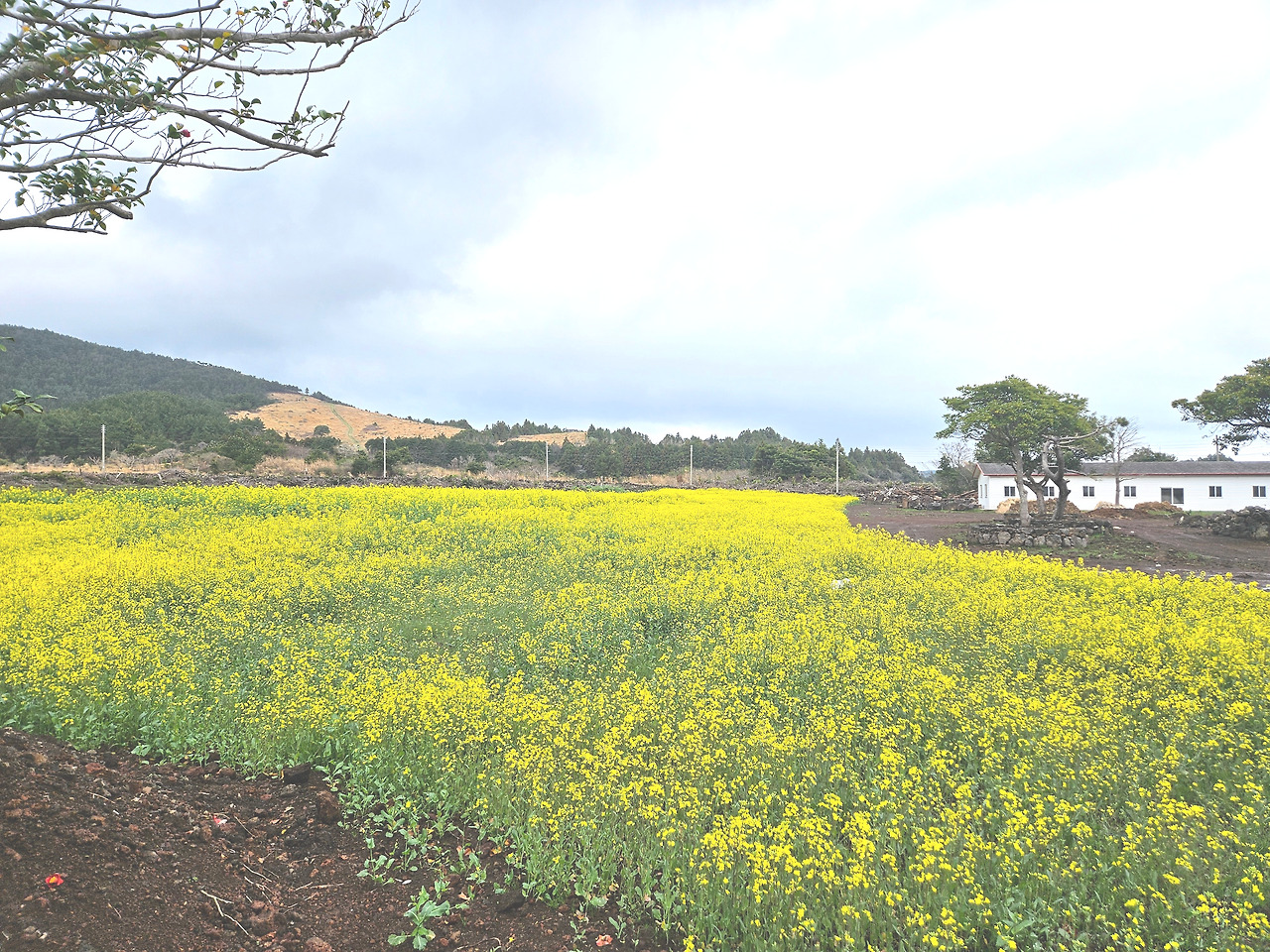KakaoTalk_20260420_220430587_17.jpg