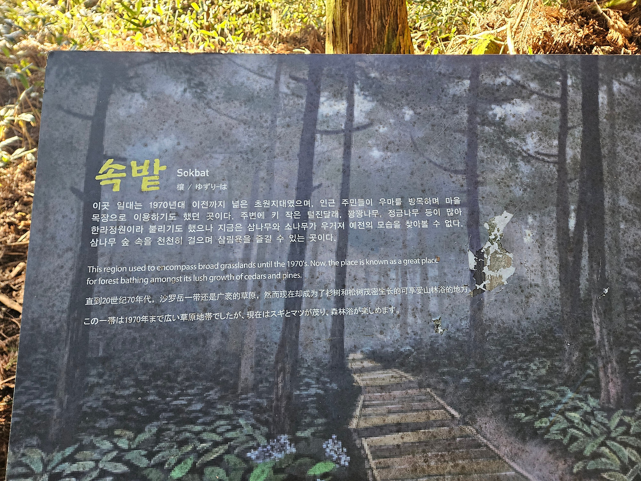 KakaoTalk_20260420_220308949_28.jpg
