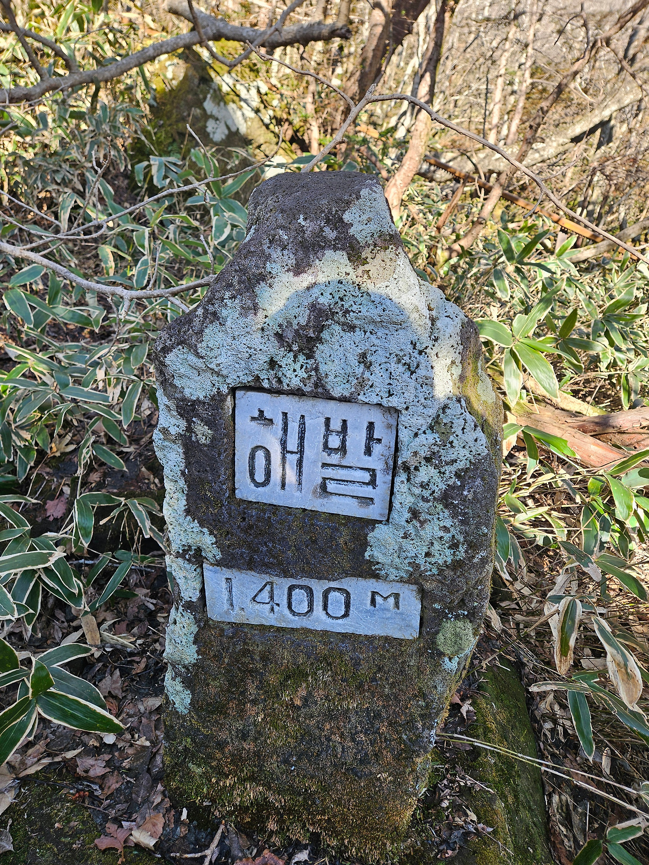KakaoTalk_20260420_220308949_24.jpg