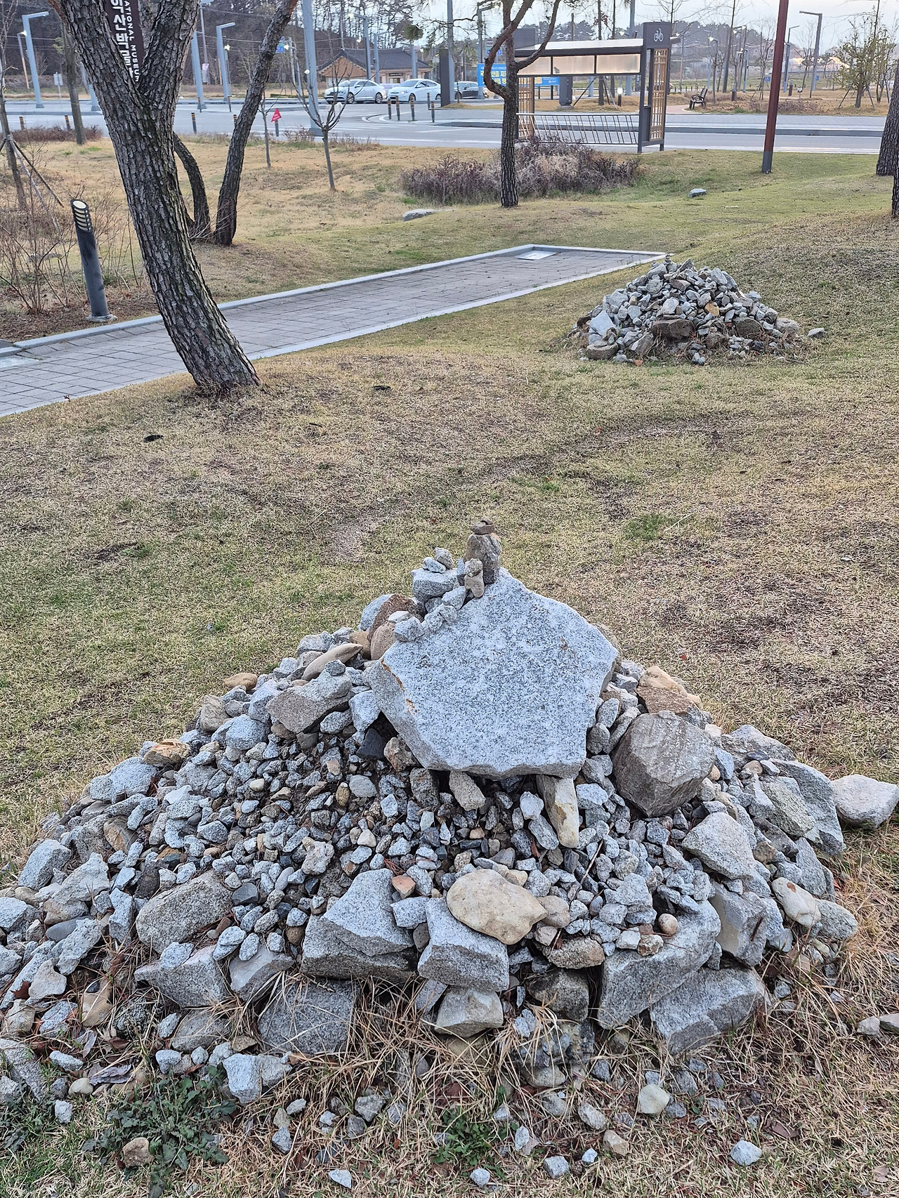 20260404_184125.jpg