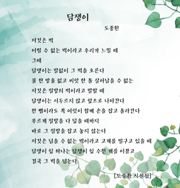 도종환 담쟁이 .jpg