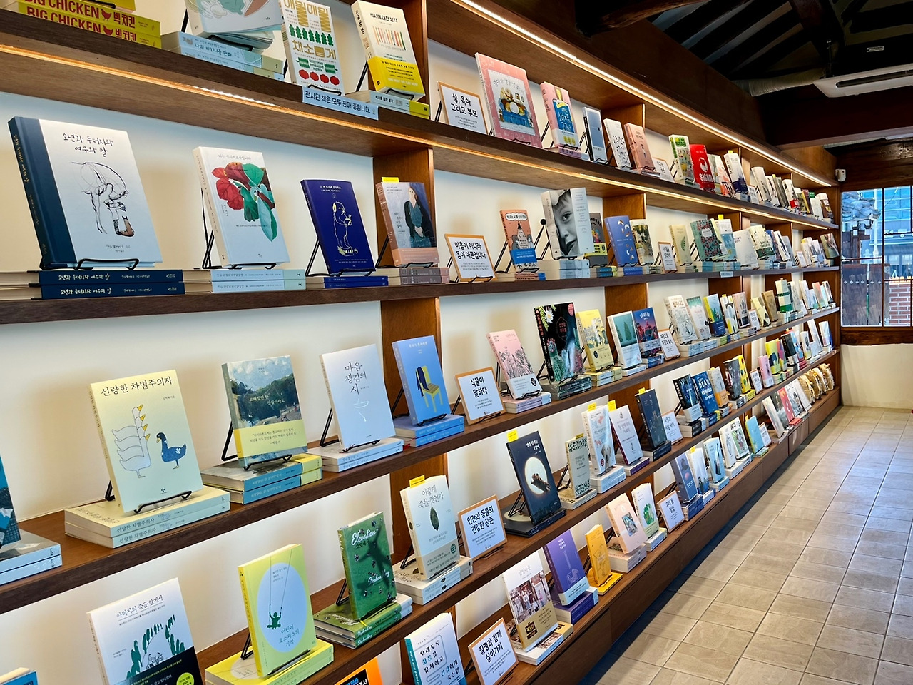 일일호일 서가.jpg