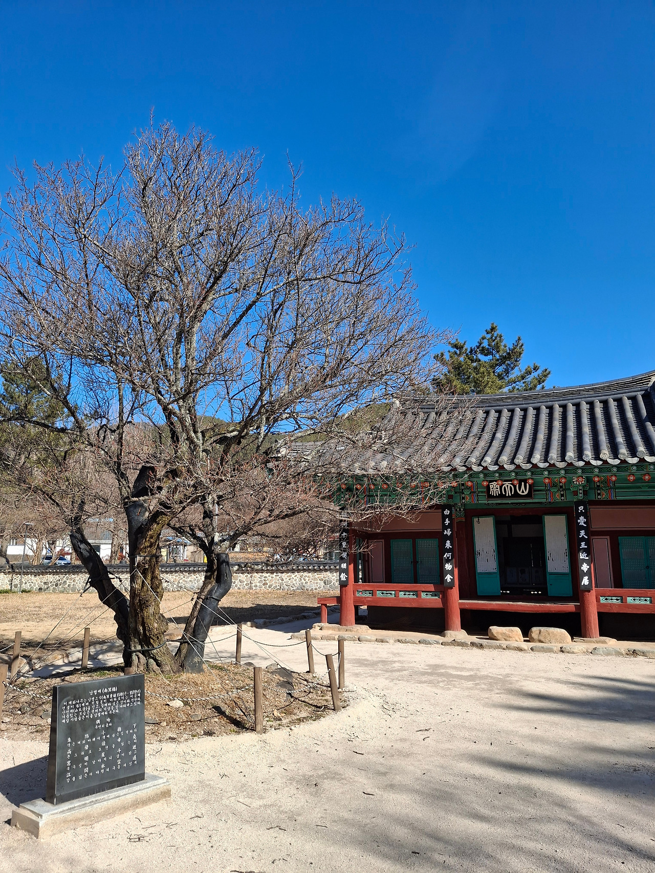 산천재 남명매.jpg