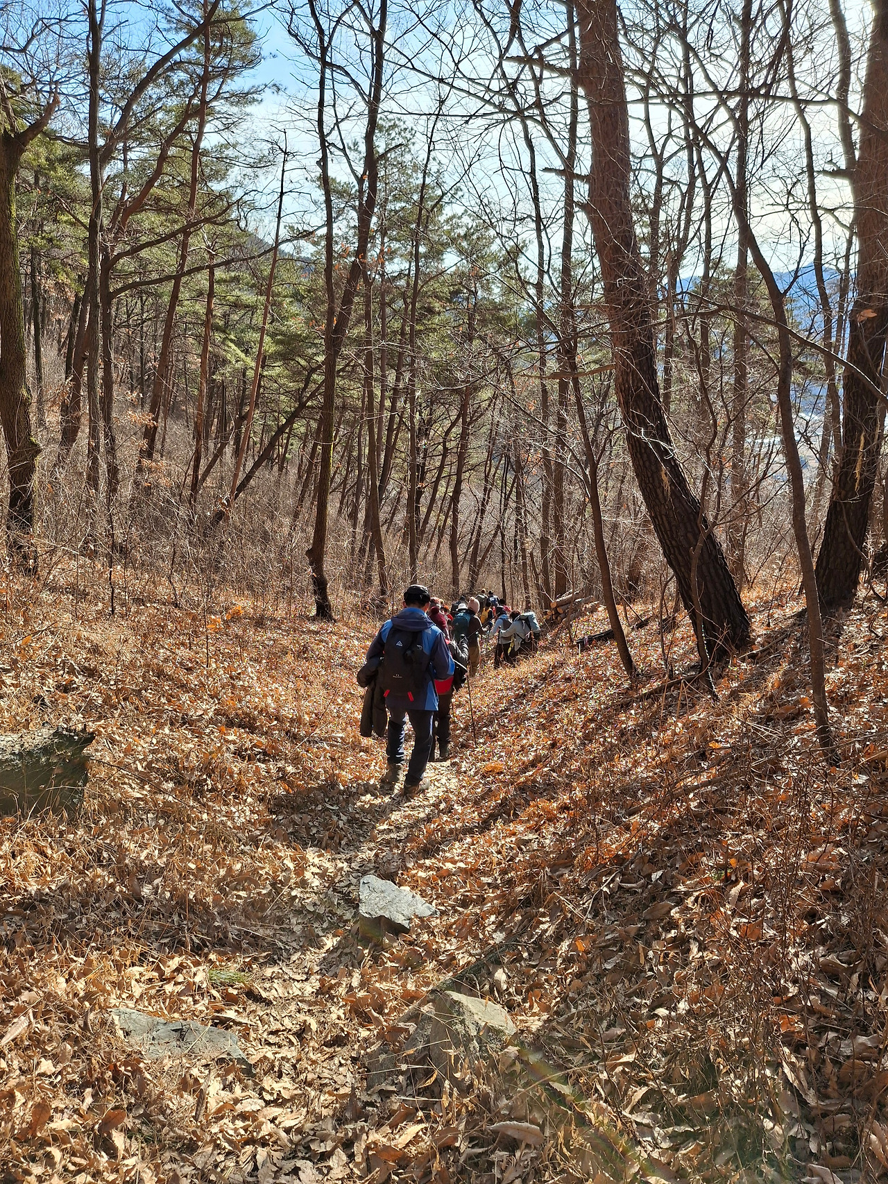 중태재에서 하산하는 모습.jpg