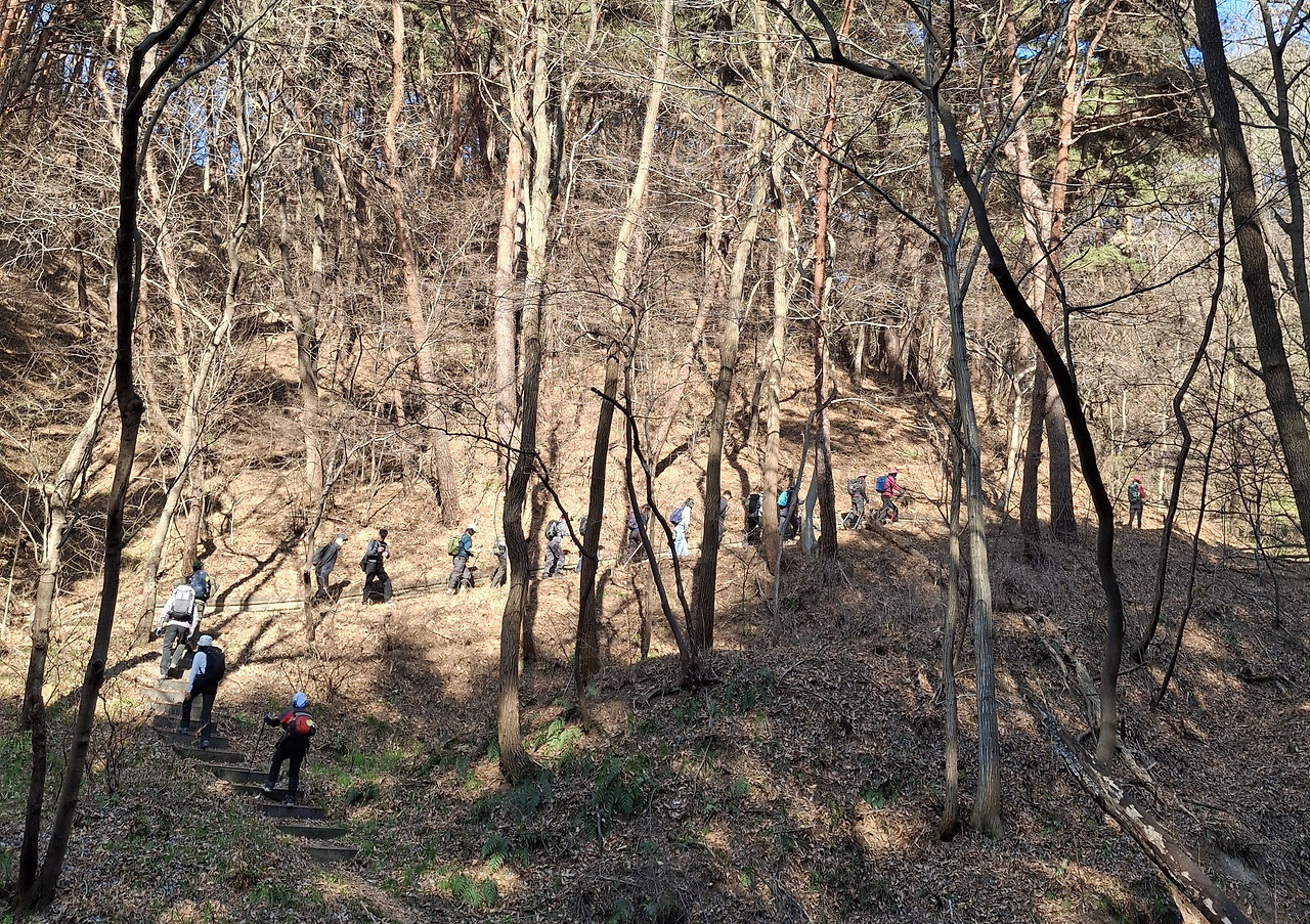 오르막과 곡절의 산길.jpg