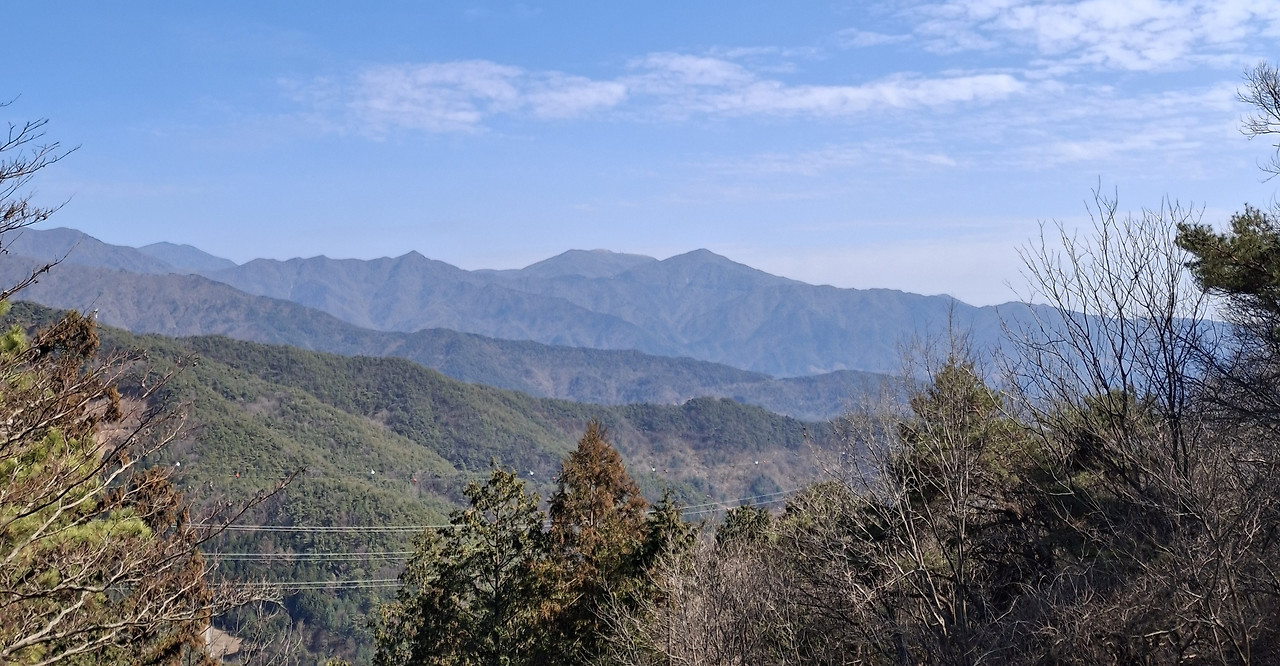 밤재에서 본 서북능선.jpg