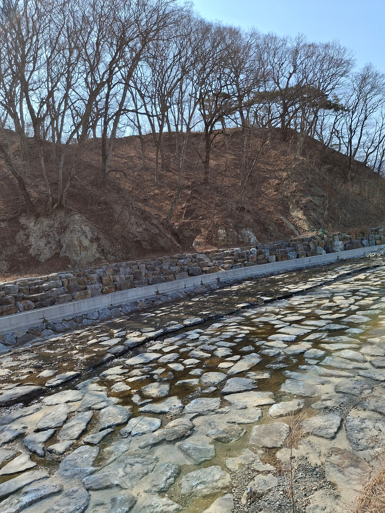 정비된 도랑.jpg