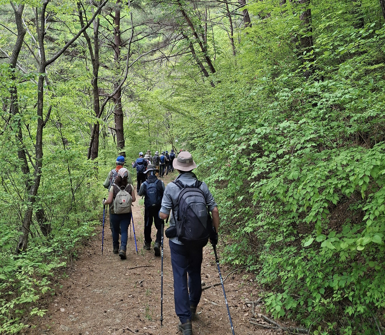 어천계곡을 향해.jpg