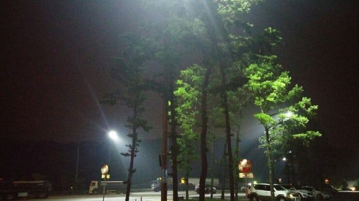 클럽 쿠루즈.jpg