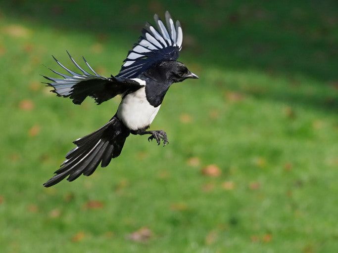 stellar1278 님 블로거.jpg