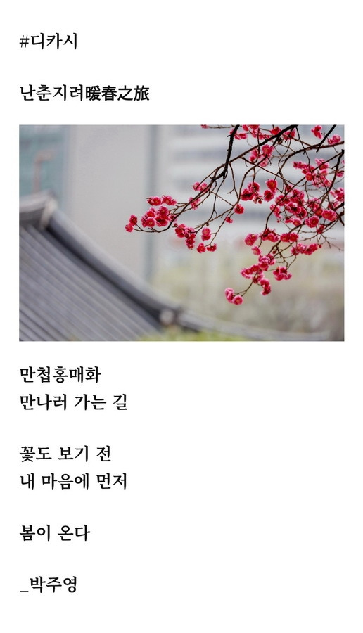 b0f3b13746adbb0fba3a3be0f92cd23357ee753a (1).jpg