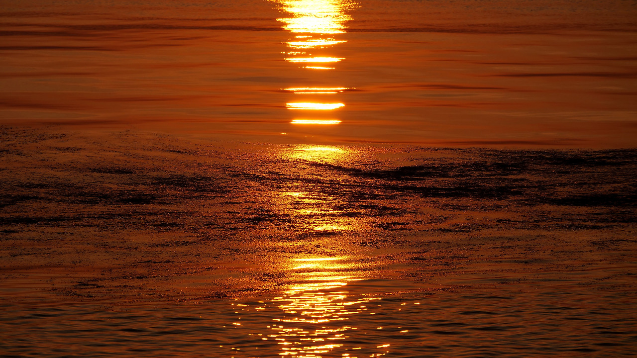 5dc0031e2e24d1b17bbccdc60303e9f2aaff709f (1).jpg