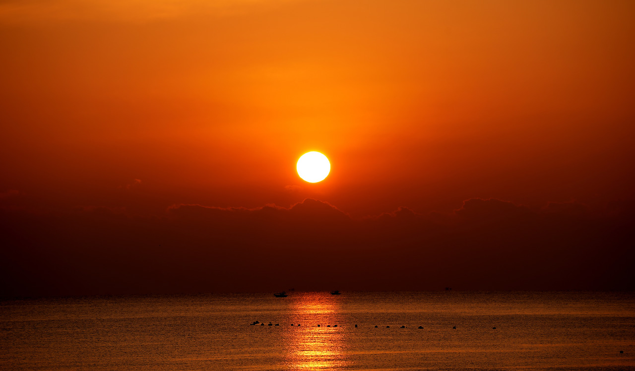 신의 손_박주영 디카시.jpg