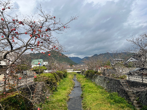 KakaoTalk_20260201_210928841_01 (1).jpg