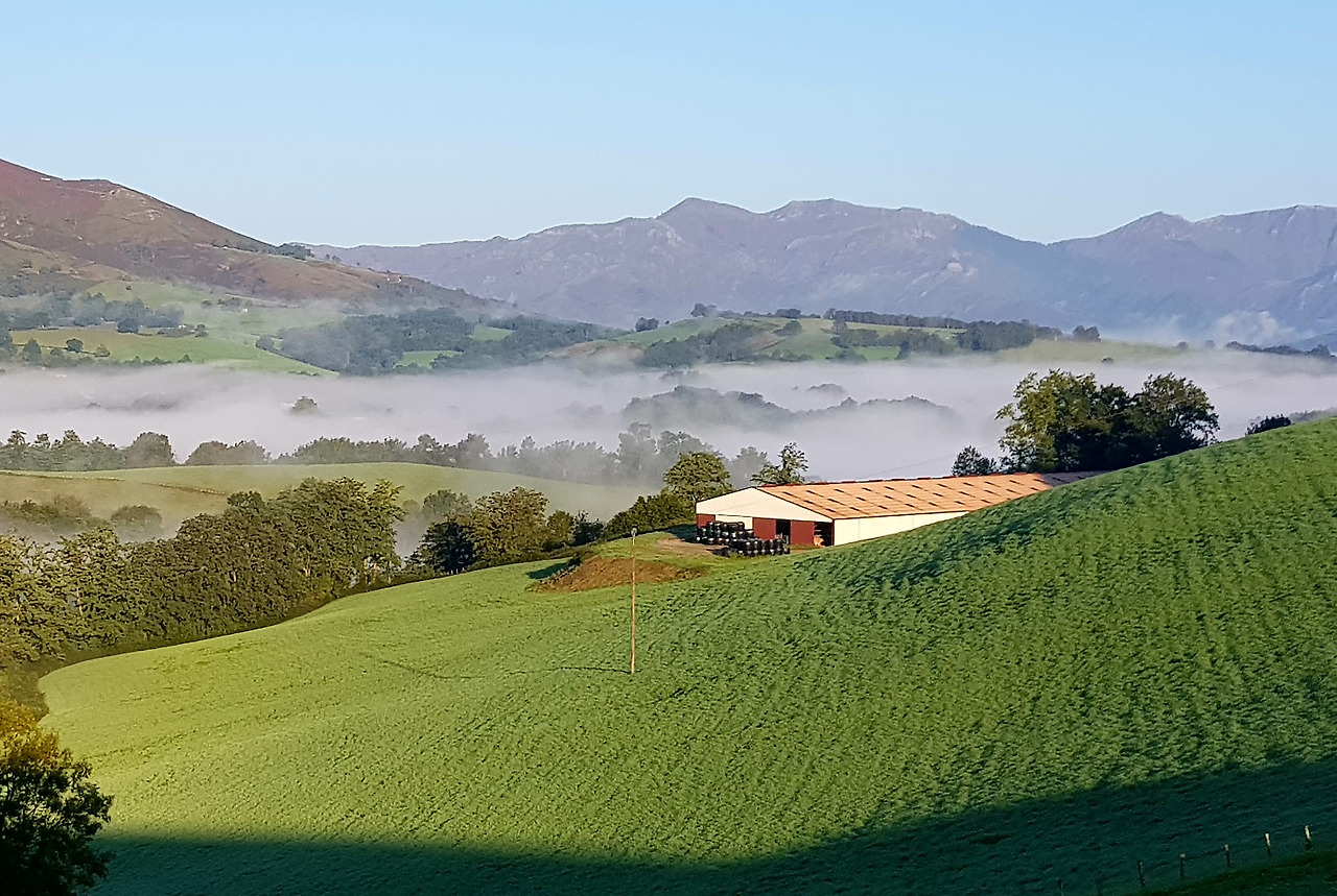 20170920_085420 (2).jpg