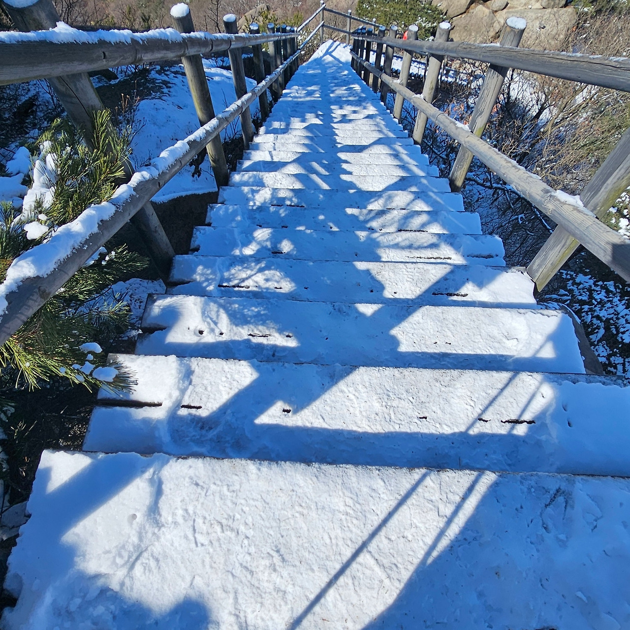 불암산1 20260307_113136.jpg