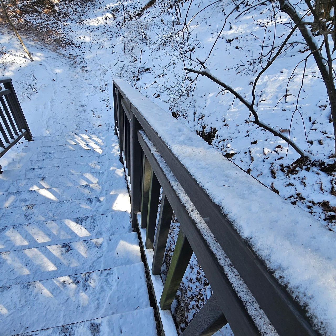 수락산가는길 20260307_114048.jpg