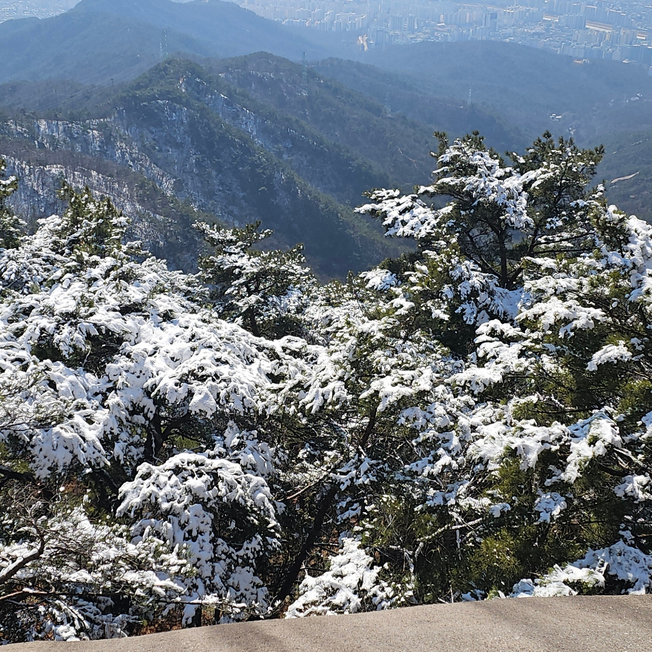 수락산 정상특1135208.jpg