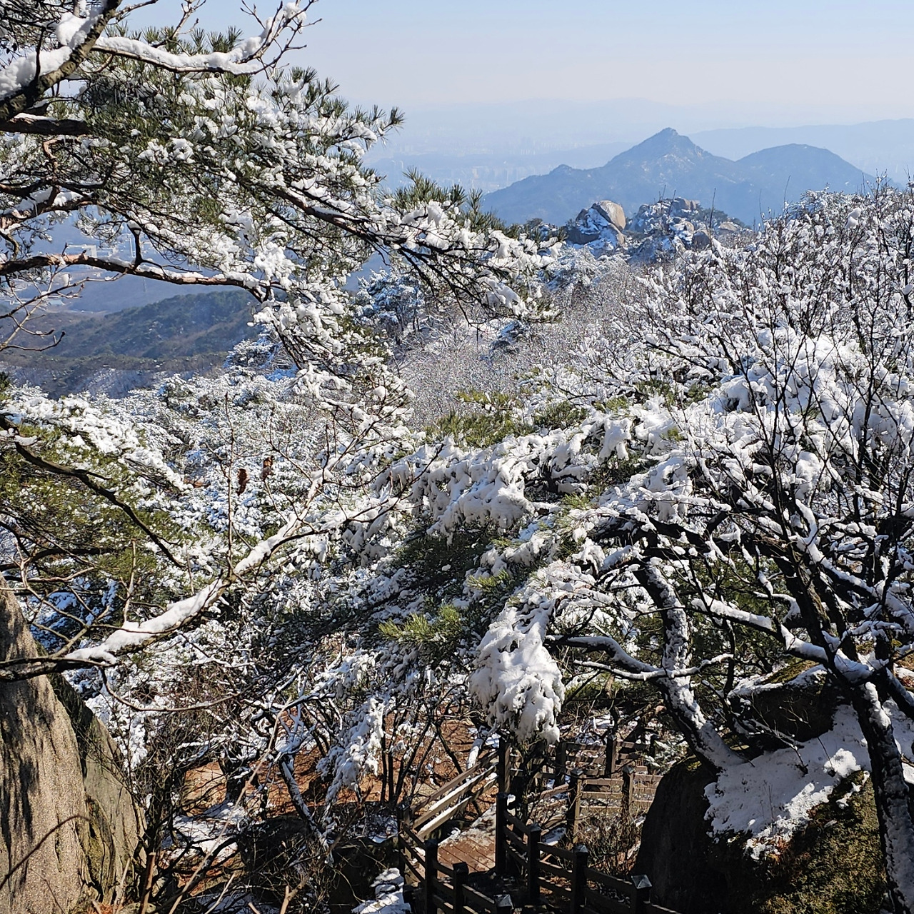 수락산특1 20260307_141922.jpg