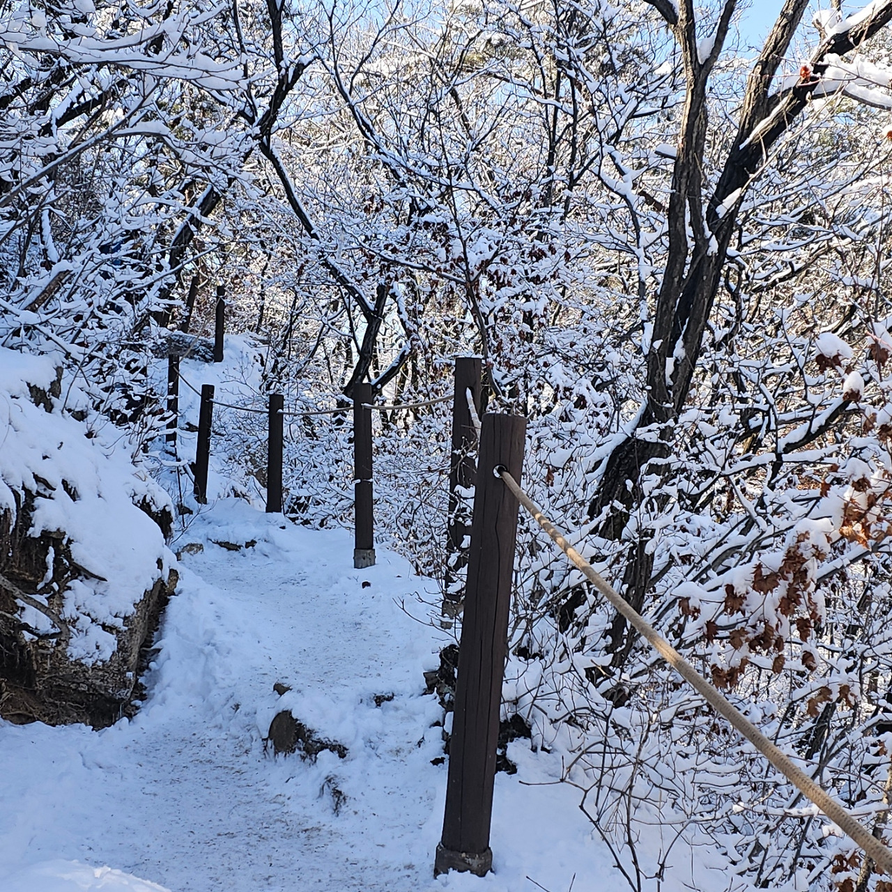 수락산특2 20260307_140307.jpg