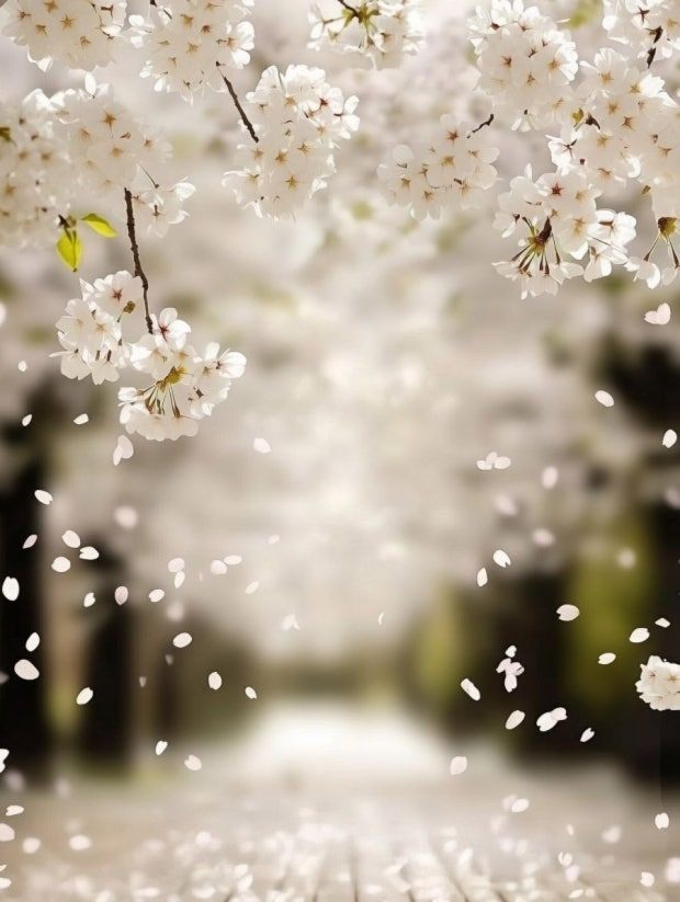 꽃비내리는 20260403_101258598_07.jpg