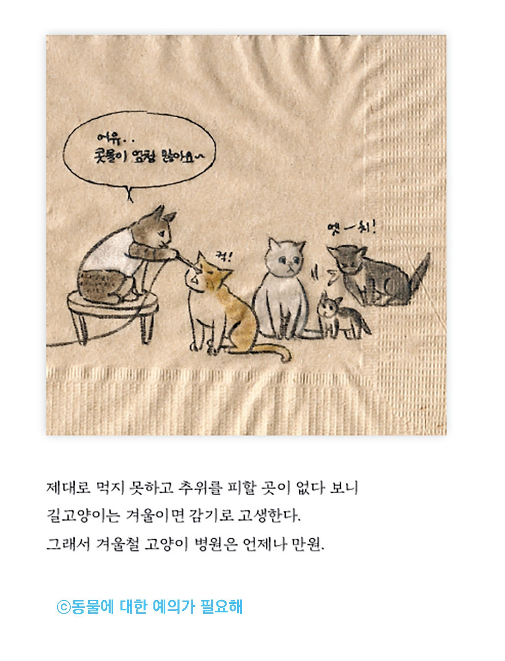 0_동물에대한예의가필요해_길고양이동네고양이4.jpg