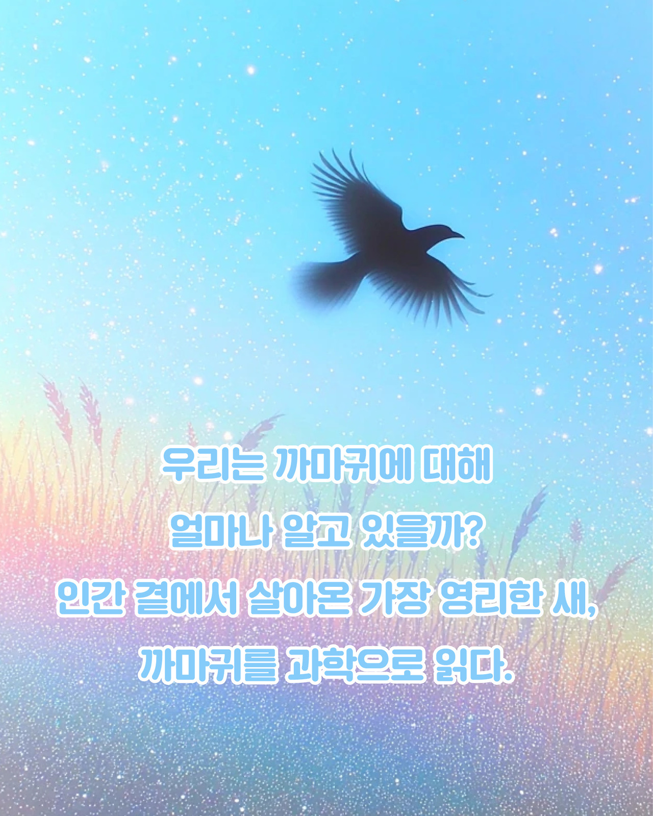 까마귀_카드뉴스2.jpg