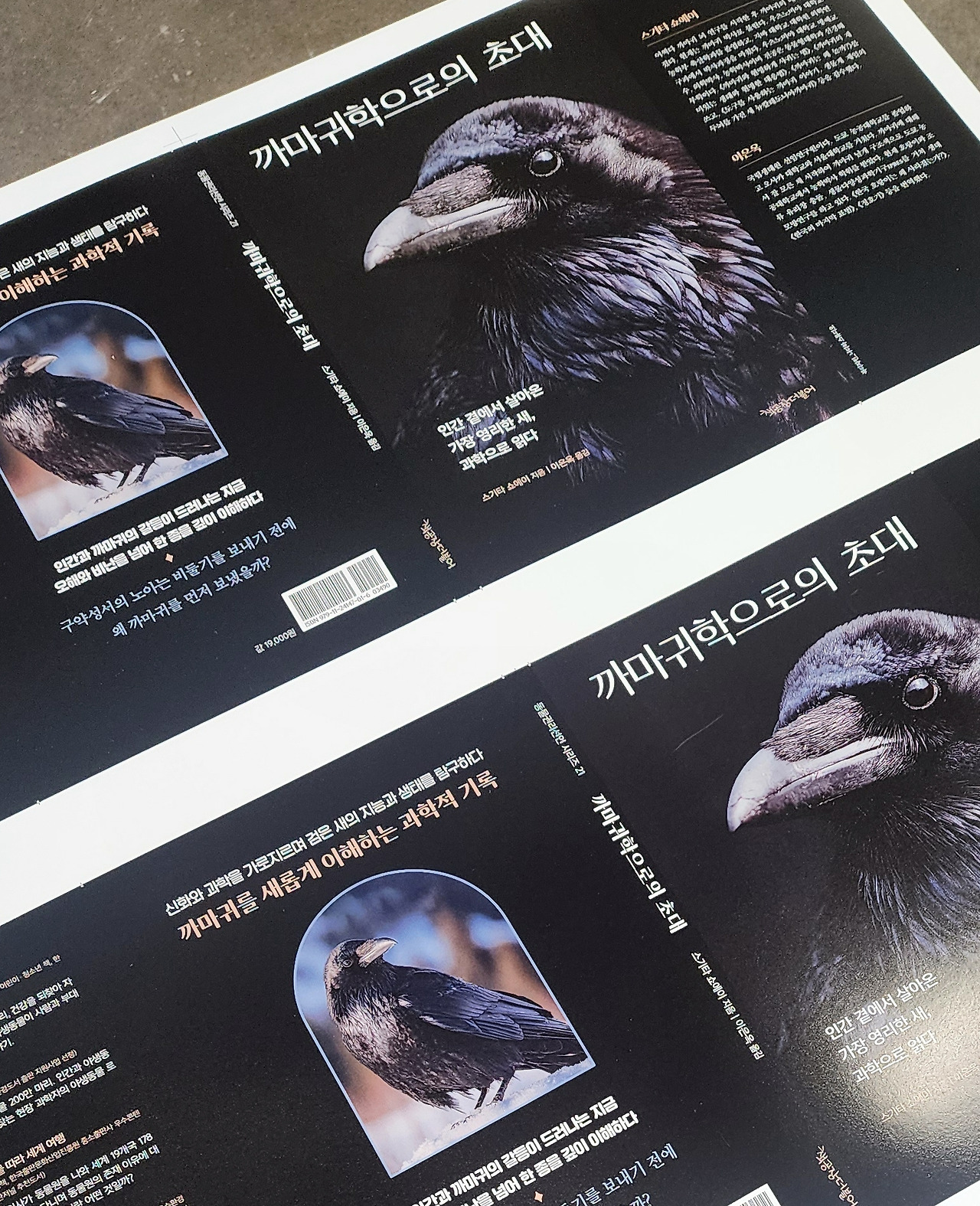 까마귀학으로의초대_인쇄_260627.jpg