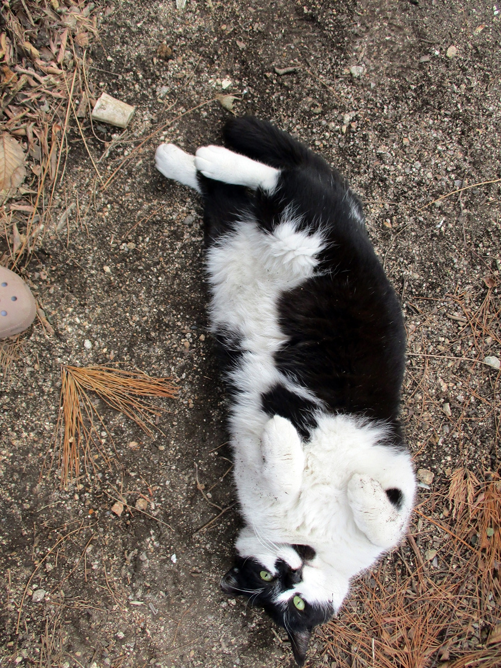 0_은애봄1_260228 (69).jpg