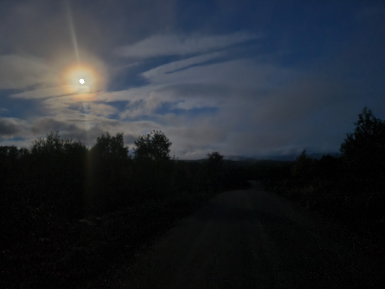 20221109_072556.jpg