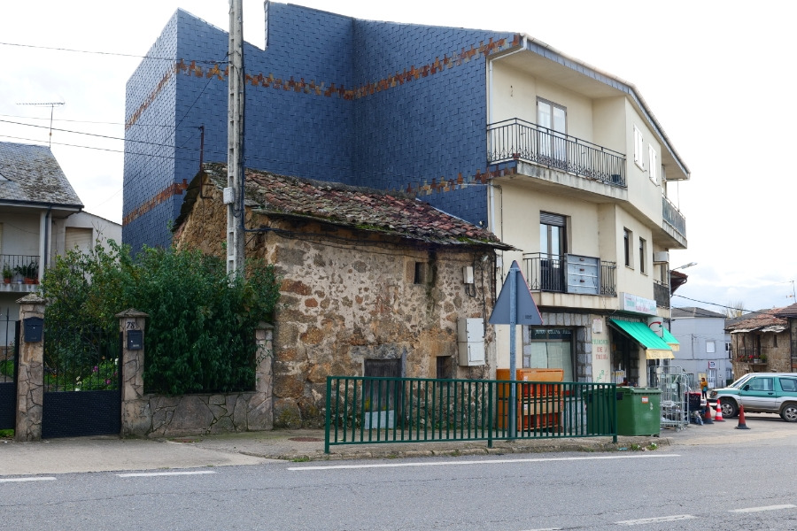 P1154709.jpg