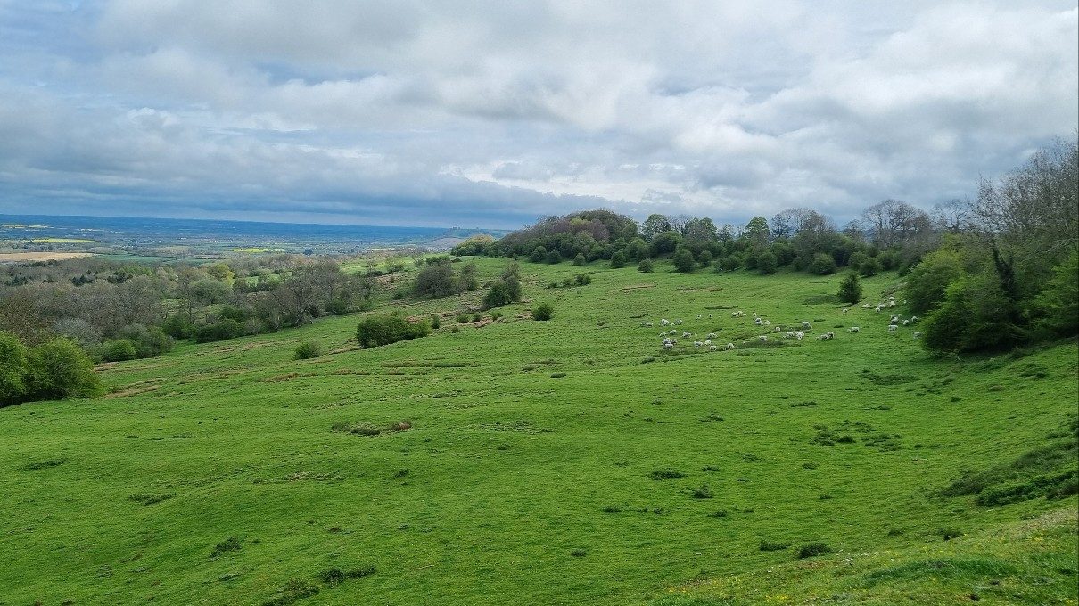 Dover's Hill 2.jpg