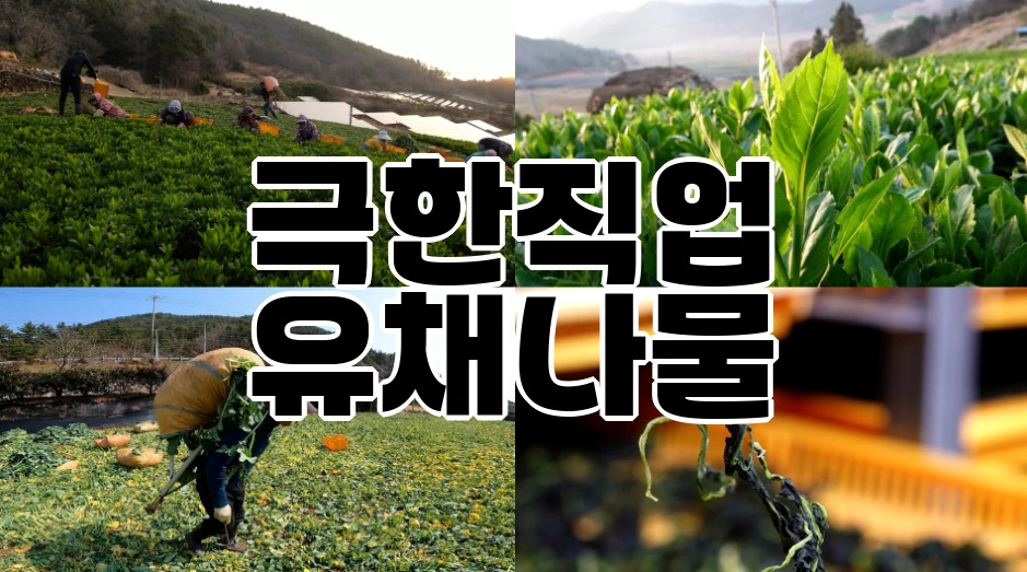 thumbnail_20 (2).jpg