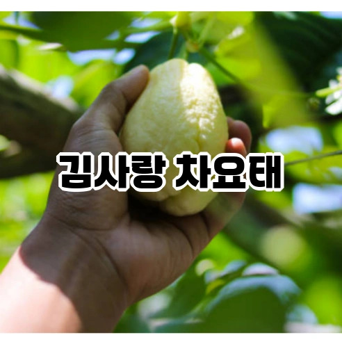 thumbnail_12 (2).jpg