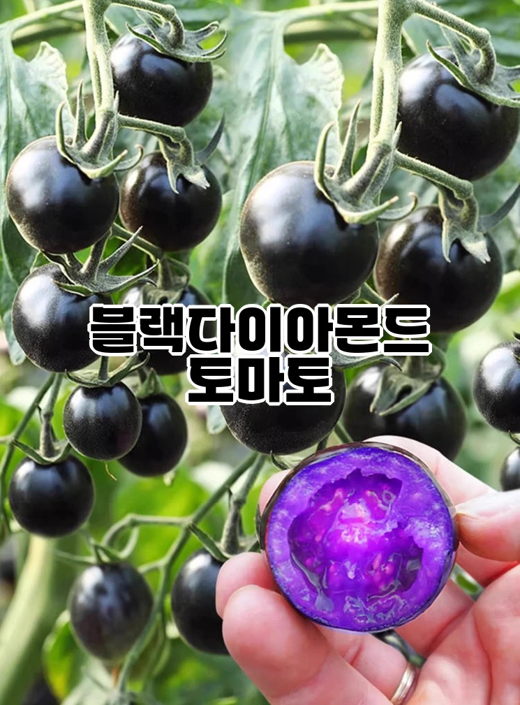thumbnail_06.jpg