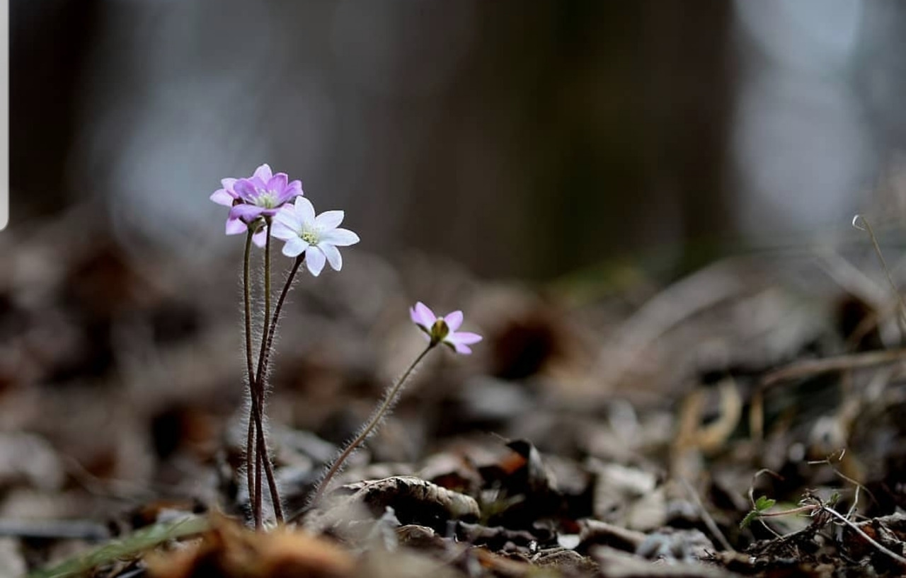 원치 않는 관심.jpg