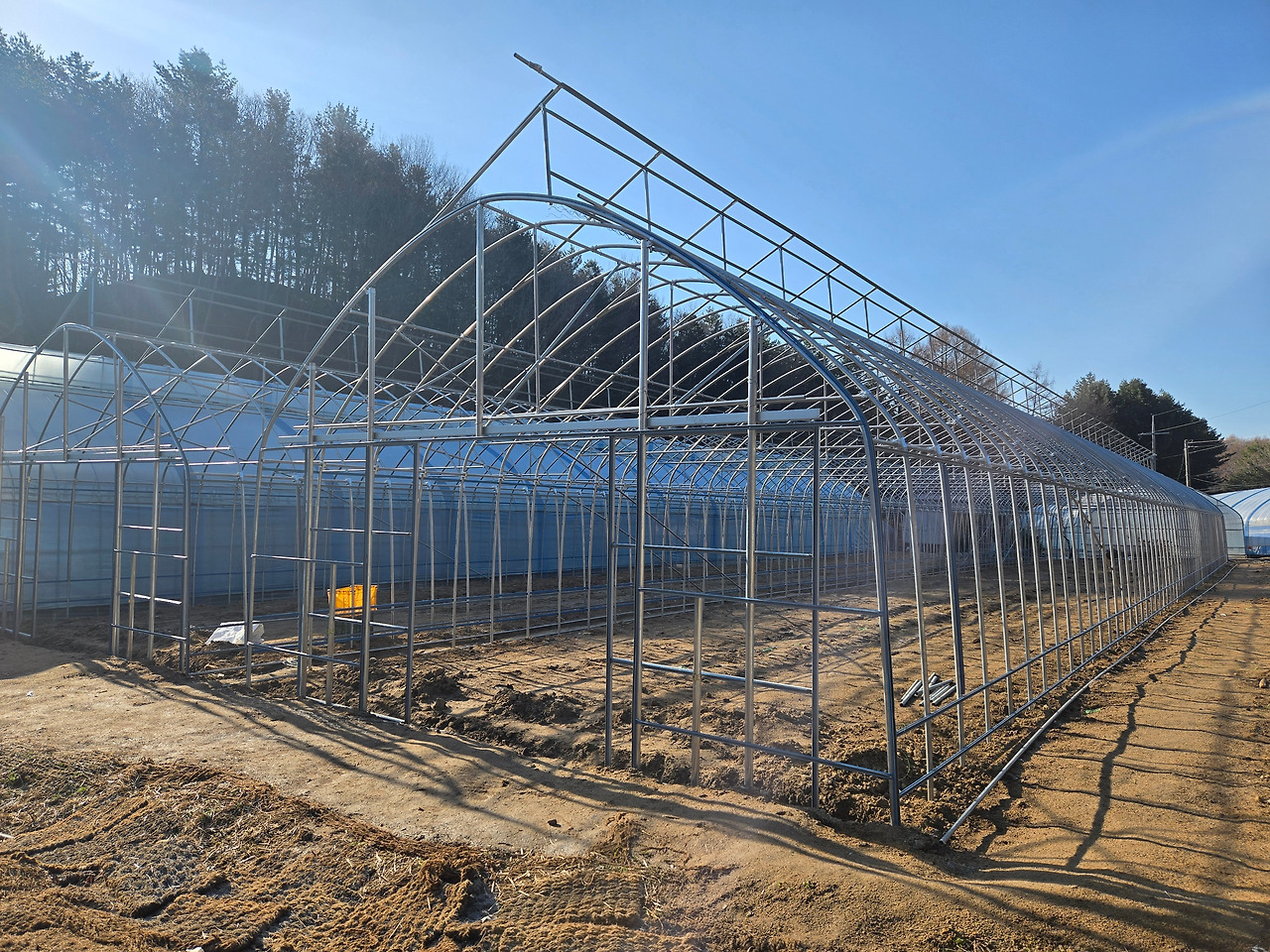 신축하우스_뼈대가 세워진 사진_20260408_082345.jpg