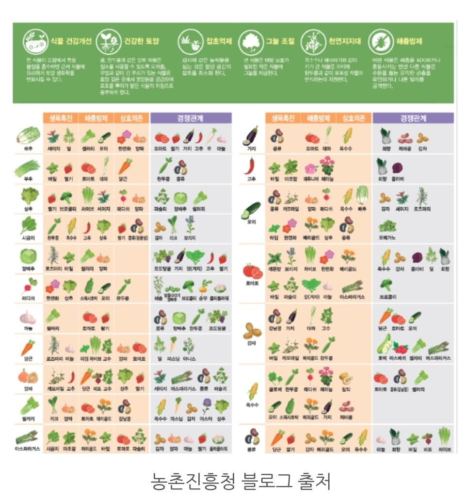 동반작물 그림들_농진청 블로그_Notes_230605_174502_9c6.jpg