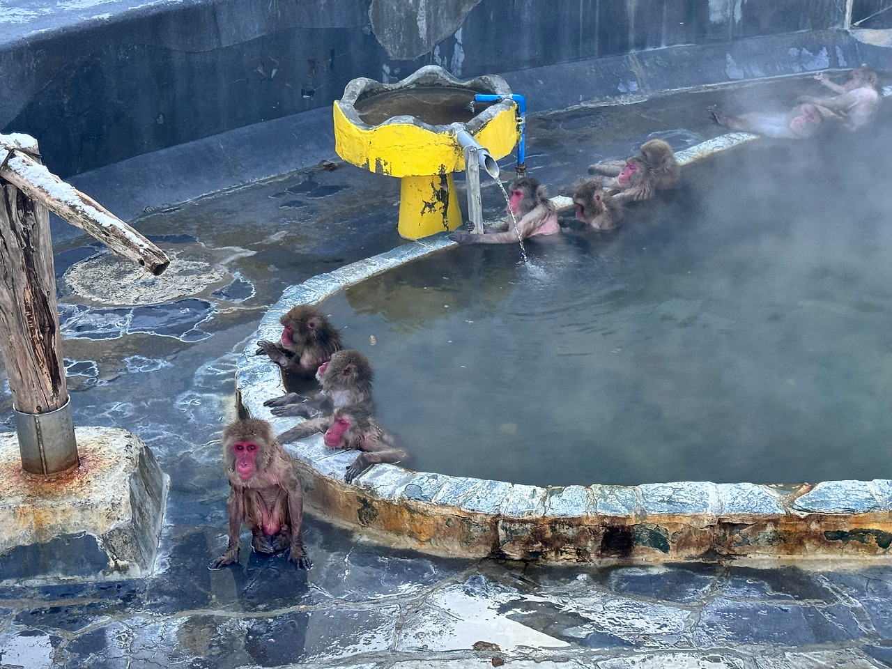 유노카와 열대식룰원.jpg