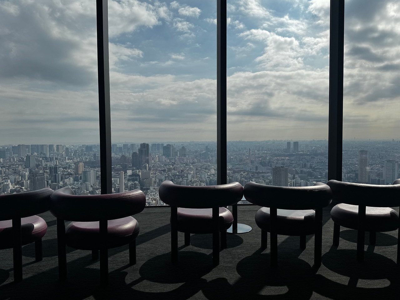 시부야 스카이.jpg