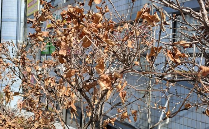 화면 캡처 2026-02-23 185543.jpg